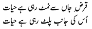 qarz-e-jan se