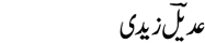 adeel-zaidi
