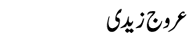 urooj-zaidi